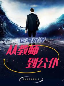 宦海沉浮：从教师到公仆封面