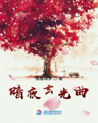 暗夜玄光曲封面