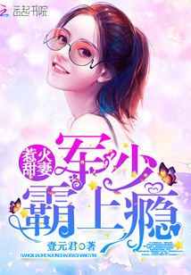 惹火甜妻:军少霸上瘾封面