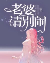 老婆请别闹封面