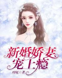 沈琦夜墨轩新婚娇妻宠上瘾封面