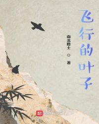 飞行的叶子封面