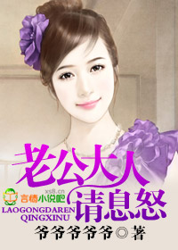老公大人请息怒！封面