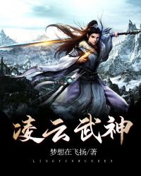 凌云武神封面