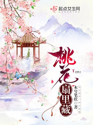 桃花扇里藏封面