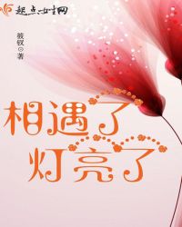 相遇了灯亮了封面