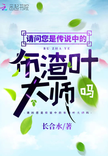 请问您是传说中的布渣叶大师吗封面
