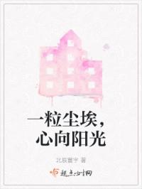 一粒尘埃,心向阳光封面