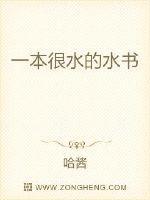 一本很水的水书封面