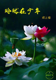 玲珑在少年封面