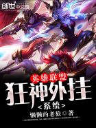 英雄联盟狂神外挂系统封面