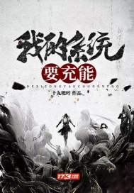 我的系统要充能封面