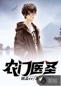 农门医圣封面
