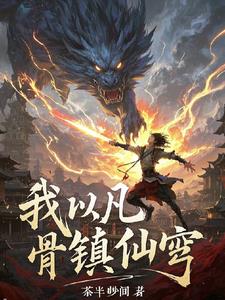 从凡骨少年到仙界主宰封面