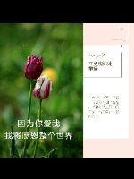 因为你爱我,我将感恩整个世界封面
