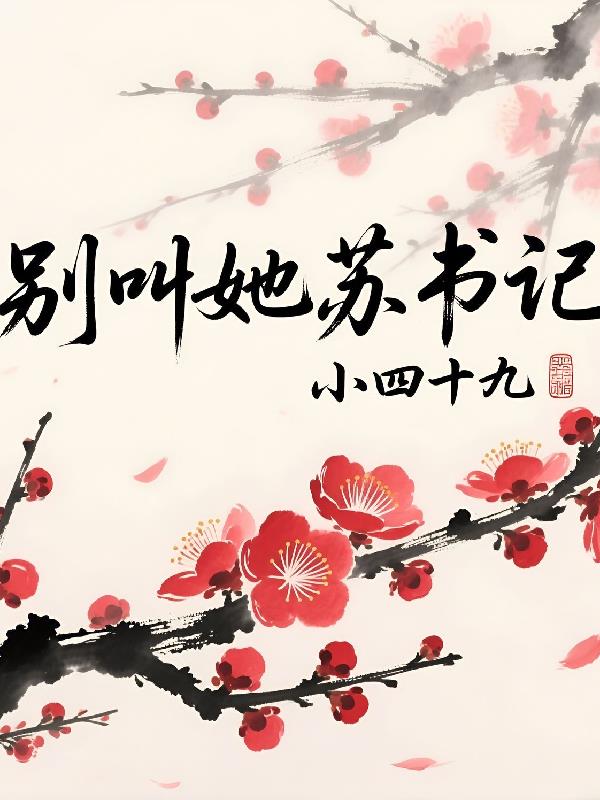 别叫她苏书记封面