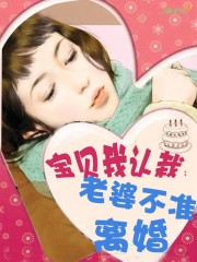 宝贝我认栽：老婆不准离婚封面