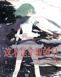 这不是全职剑皇封面