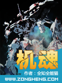 机魂封面