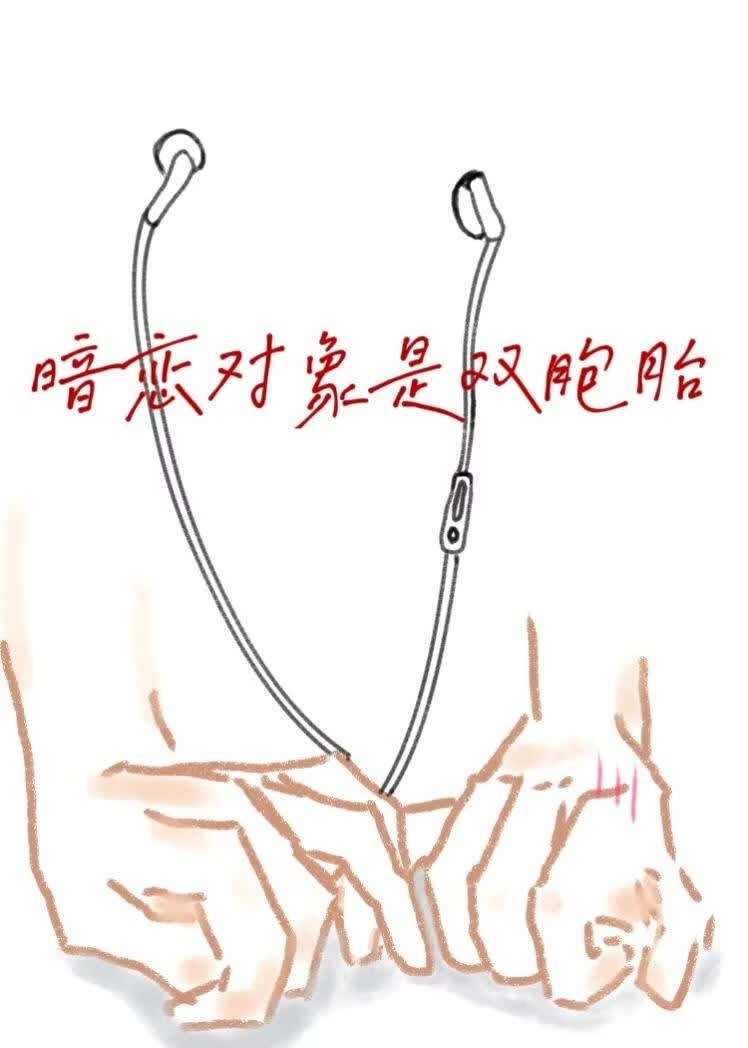 暗恋对象是双胞胎封面