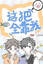 这把全靠我封面