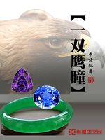 一双鹰瞳封面