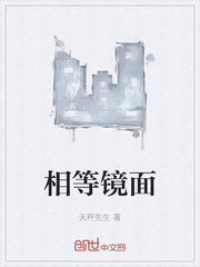 相等镜面封面