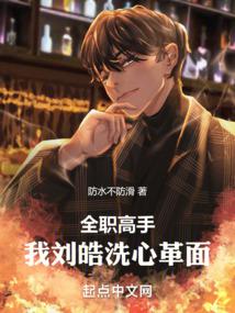 全职高手：我刘皓洗心革面封面