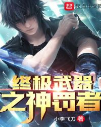 终极武器之神罚者封面