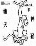 通天神猴封面