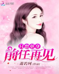 只想单身：前任，再见！封面