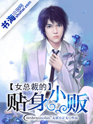 女总裁的贴身小贩封面