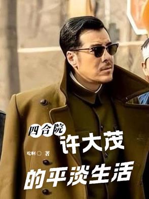 四合院：许大茂的平淡生活封面