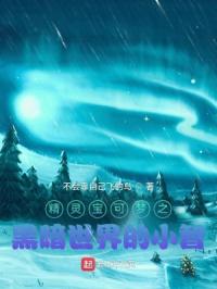 精灵宝可梦之黑暗世界的小智封面