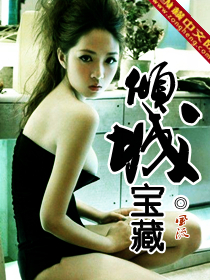倾城宝藏封面