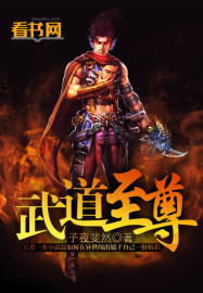 武道至尊(子夜斐然)封面