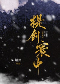 提剑寰中封面