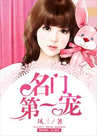 名门第一宠封面
