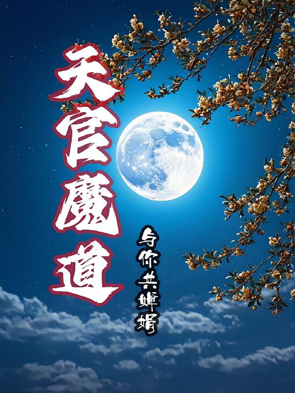 天官魔道与你共婵娟封面