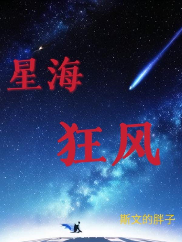 星海狂风封面