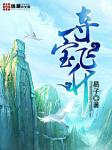 夺宝飞升封面
