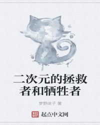 卑微人类的二次元之旅封面