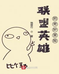 联盟英雄的奇妙冒险封面