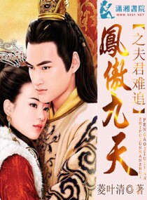 凤傲九天之夫君难追封面