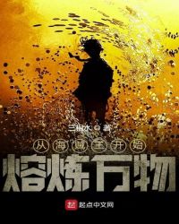 从海贼王开始熔炼万物封面