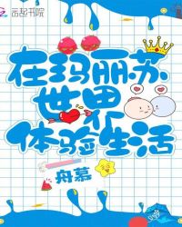 在玛丽苏世界体验生活封面