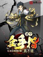 这个金手指真不错封面