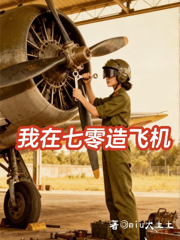 我在七零造飞机封面