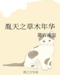 胤天之草木年华封面