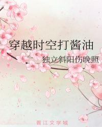 穿越时空打酱油封面